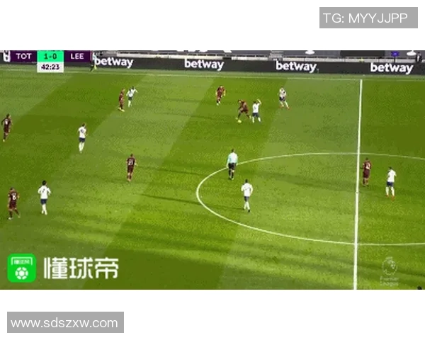 深圳足球队总决赛技术分析与表现评估全面解读